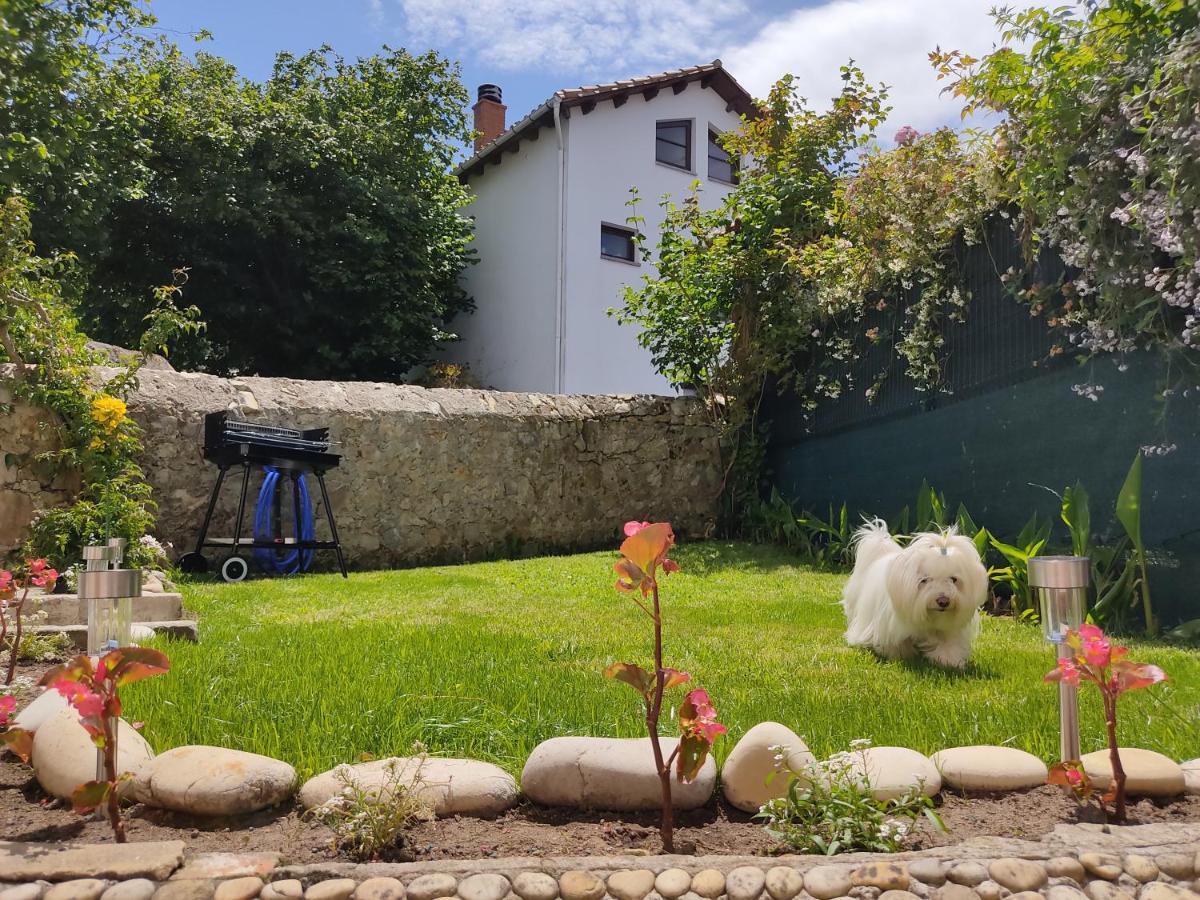 Penzion Casa Dolfin - "Tu Hogar En La Costa Del Paraiso" Navés Exteriér fotografie